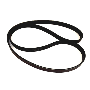 Serpentine Belt